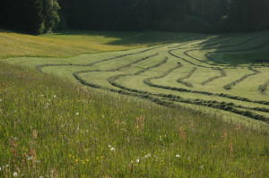 Heuarbeit auf der Leitn